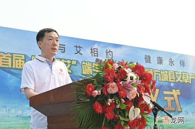 艾绒加工厂,艾草加工设备制造厂