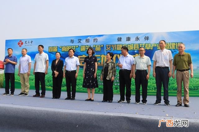 艾绒加工厂,艾草加工设备制造厂