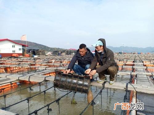 厦门夏商水产交易中心 厦门水产养殖技术及设备展览会