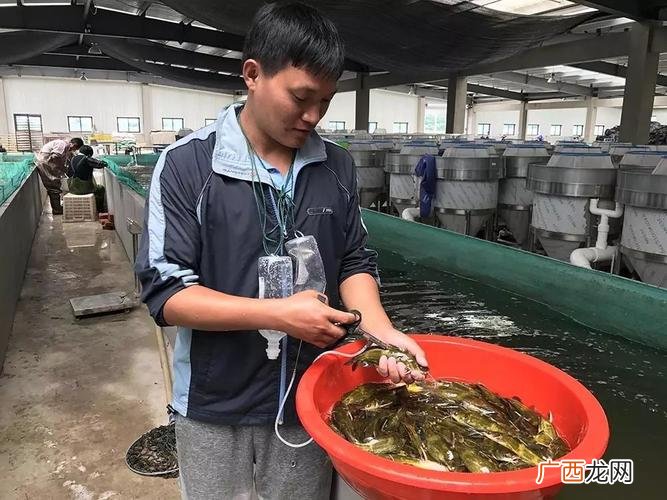 水产硕士招聘 水产遗传育种 硕士招聘