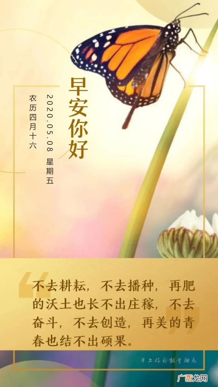 周五早安日签阳光积极说说句子 阳光向上有朝气的图片