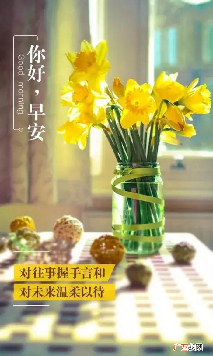 周五早安日签阳光积极说说句子 阳光向上有朝气的图片