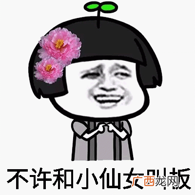 自恋小仙女熊猫人表情包