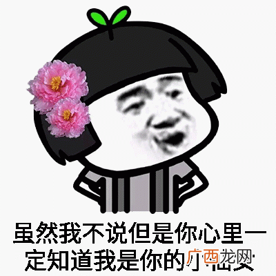自恋小仙女熊猫人表情包