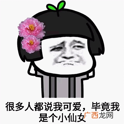 自恋小仙女熊猫人表情包