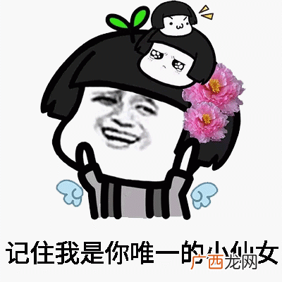自恋小仙女熊猫人表情包