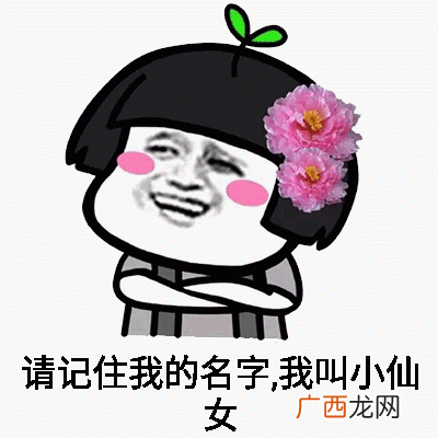 自恋小仙女熊猫人表情包