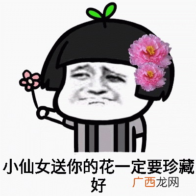 自恋小仙女熊猫人表情包