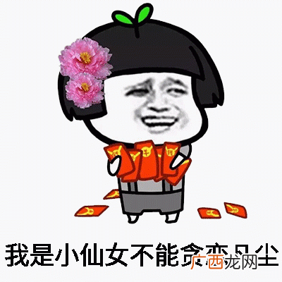 自恋小仙女熊猫人表情包