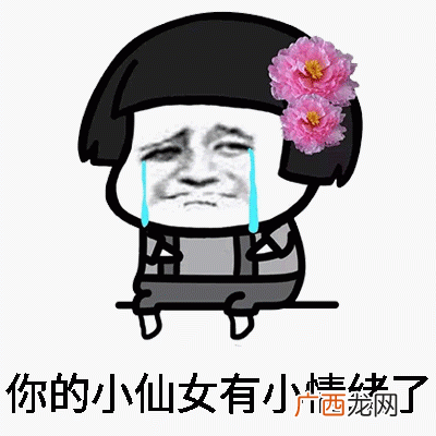 自恋小仙女熊猫人表情包