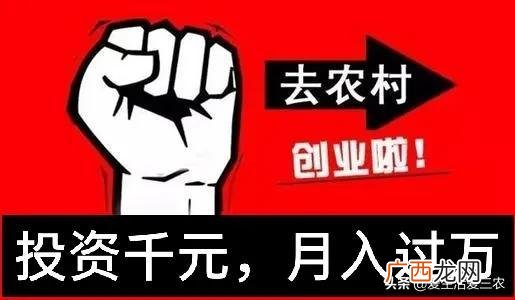 30个农村办厂项目,农村办什么厂稳定赚钱