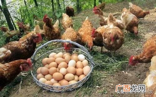 30个农村办厂项目,农村办什么厂稳定赚钱