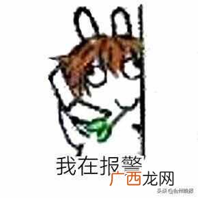 不封号的滴滴抢单神器 什么叫外挂