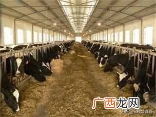 2019最赚钱的13个养殖项目 养什么东西赚钱快