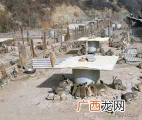2019最赚钱的13个养殖项目 养什么东西赚钱快