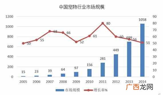 现在卖什么宠物最挣钱（看看宠物店主怎么赚钱
