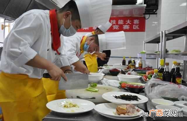 推荐10个大学生创业的专业 什么专业可以创业