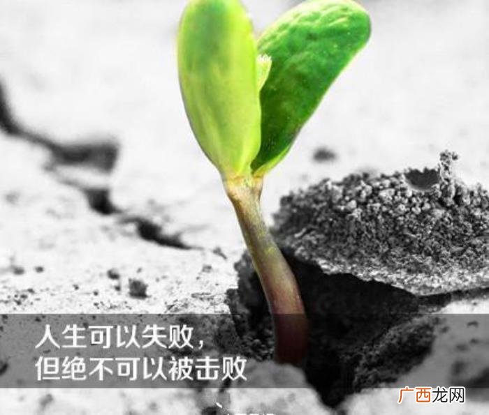一句话经典励志带字唯美图片 带字图片霸气