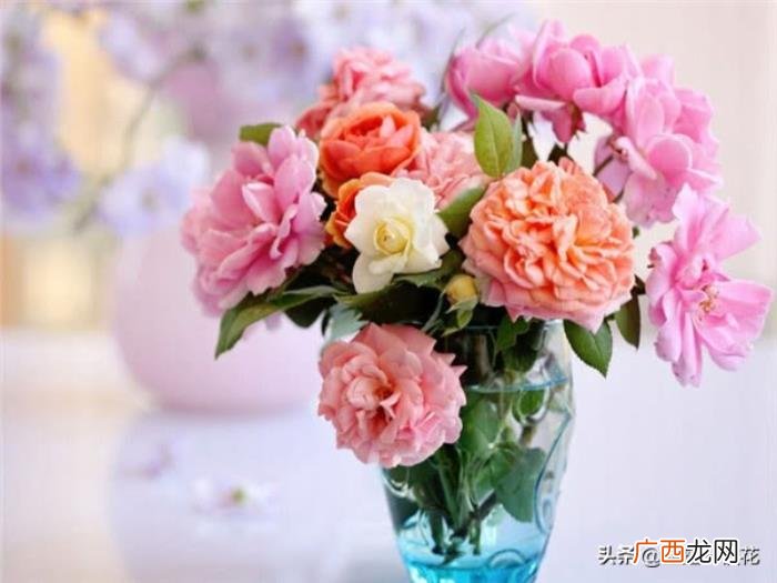 狮子男想要的老婆类型，狮子座男生最梦寐以求的3种女人