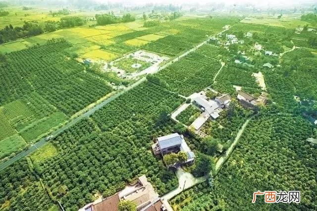 小城镇创业 成都小城镇投资