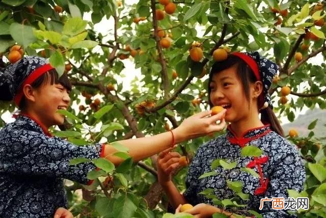 小城镇创业 成都小城镇投资
