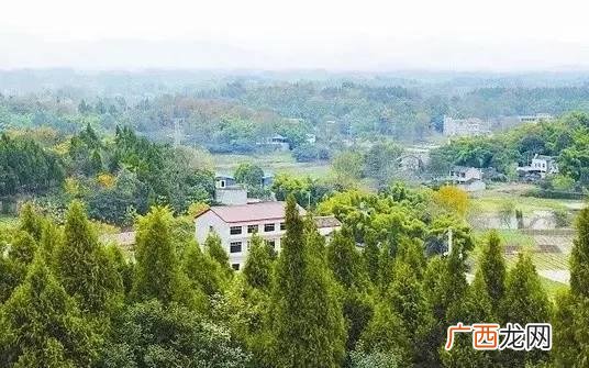 小城镇创业 成都小城镇投资