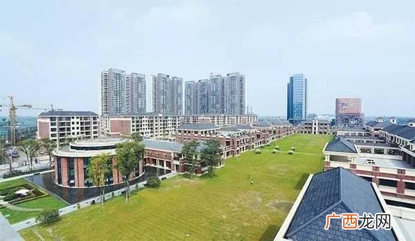 小城镇创业 成都小城镇投资