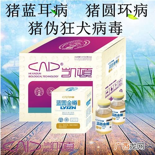 育肥猪蓝耳病治疗方案 猪蓝耳病防治技术规范
