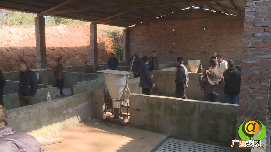 现代养猪场 生态养猪场建造技术