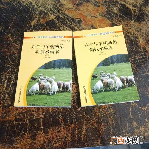羊病防治技术 羊病防治技术大全