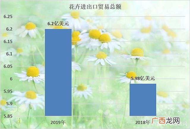 花卉批发价格大全 中国花卉价格