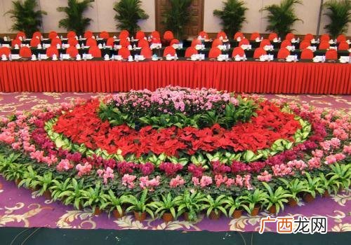 花店合作方案 花卉租摆联盟产业小组