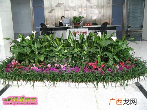 花店合作方案 花卉租摆联盟产业小组