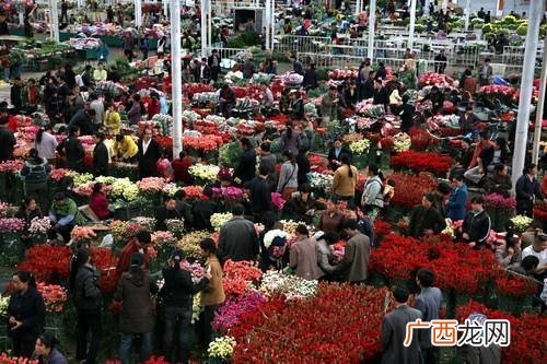 徐州批发鲜花的地方 徐州市区花卉销售点