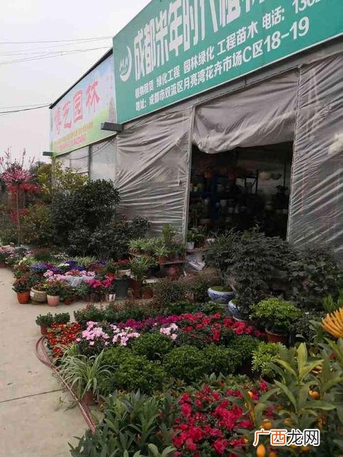 徐州批发鲜花的地方 徐州市区花卉销售点