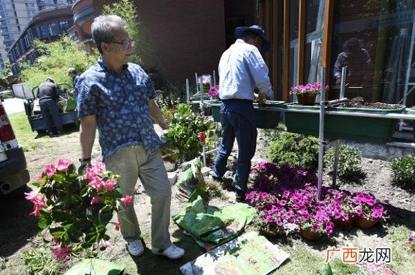 设计师为阳光小区设计了一座座花园 花园花卉设计师