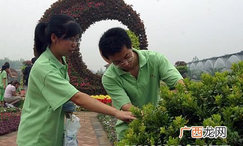 设计师为阳光小区设计了一座座花园 花园花卉设计师