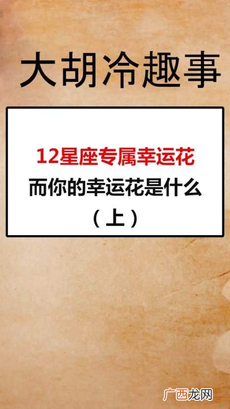 花店顾客描述 花卉以顾客为中心例子