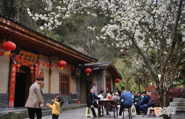 马云说农村干什么挣钱 当今干什么行业致富