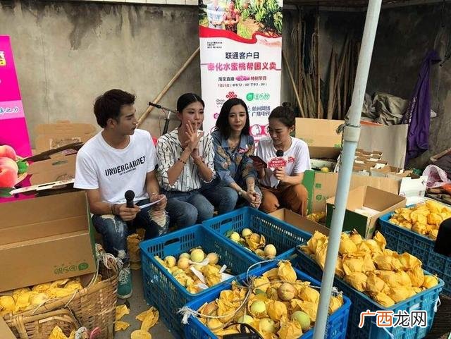 马云说农村干什么挣钱 当今干什么行业致富