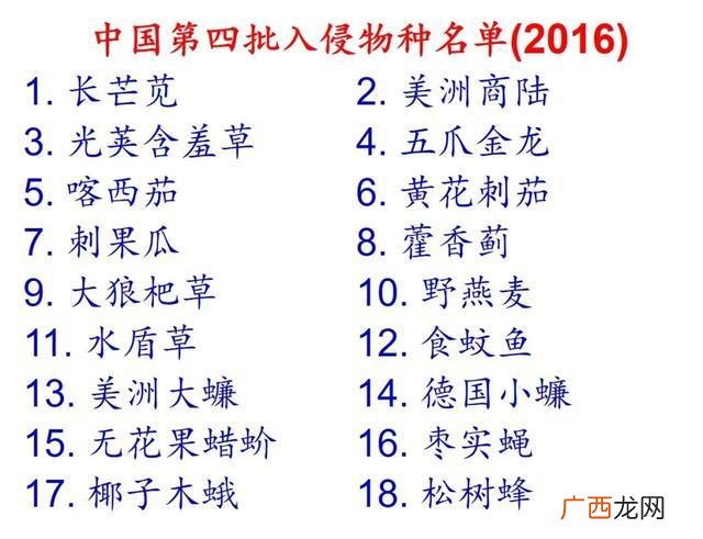 今日鳜鱼塘头收购价格 牛蛙 价格中国水产网