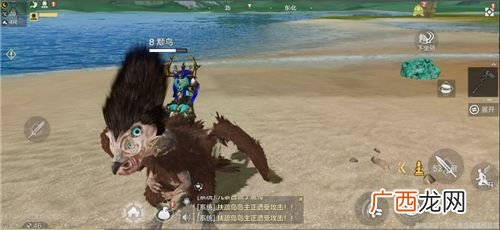 妄想山海颙鸟抓捕地点介绍