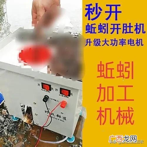 适合年轻人创业项目 现在年轻人创业项目