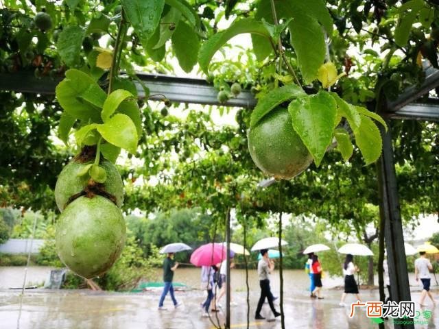 运城市农业用地 运城市康达农业技术开发有限公司