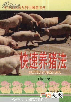 自制猪饲料配方大全 快速养猪技术