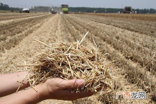 农村秸秆的开发和利用 秸秆饲料化利用技术