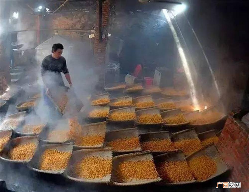 发酵饲料 发酵饲料生产与应用技术