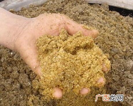 发酵饲料 发酵饲料生产与应用技术