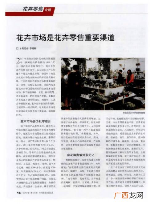 网上花卉盆栽批发网站 花卉售卖网站