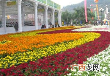 二十届昆明国际花卉展 展览公司办国际花卉展